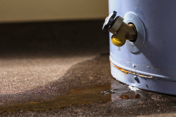 Best Flood restoration services  in Fort Pierre, SD
