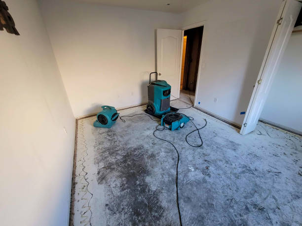 Best Basement water damage restoration  in Fort Pierre, SD