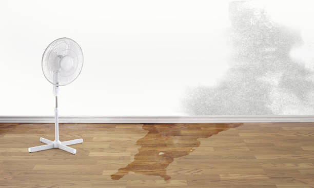 Best Water damage contractors near me  in Fort Pierre, SD