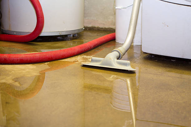 Best Sewage cleanup and water damage restoration  in Fort Pierre, SD