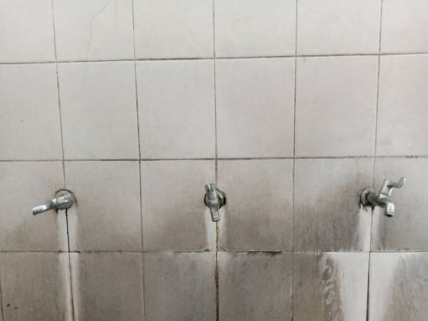 Best 24-hour water damage restoration  in Fort Pierre, SD